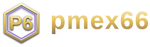 pmex66 logo